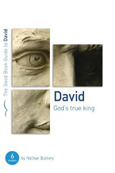Picture of David: God's True King: Six studies for