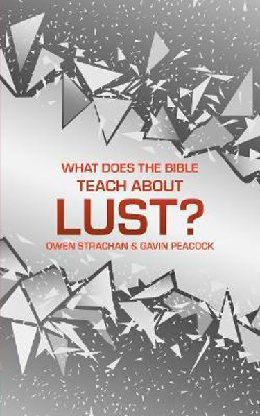 Picture of What Does the Bible Teach about Lust?: A