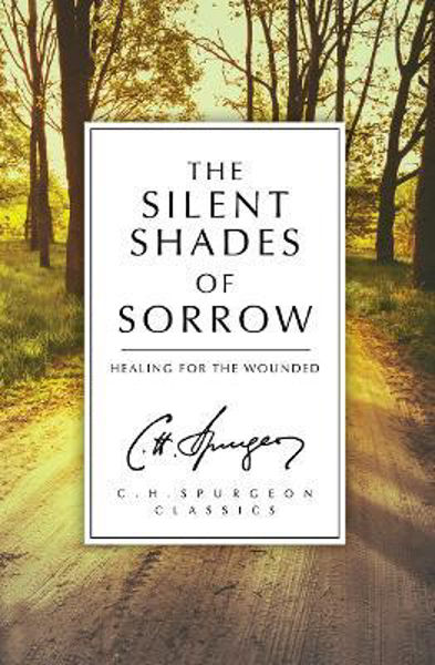 Picture of The Silent Shades of Sorrow: Healing for