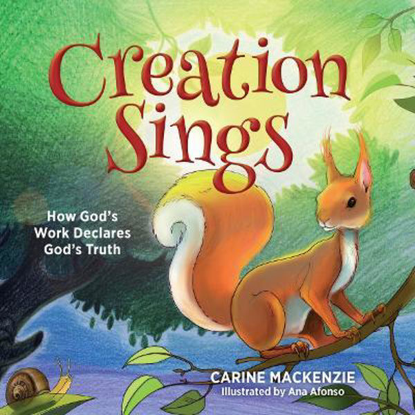 Picture of Creation Sings: How God's Work Declares