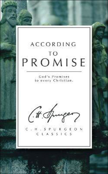 Picture of According to Promise: God's Promises to Every Christian