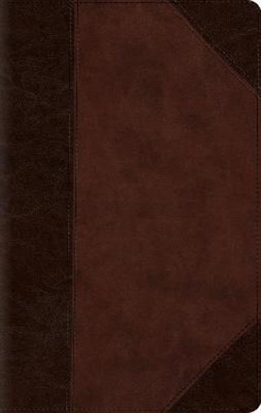 Picture of ESV Large Print Compact Brown Trutone