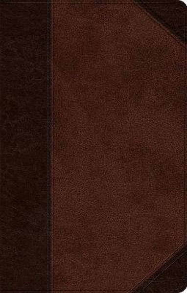 Picture of ESV UltraThin Bible
