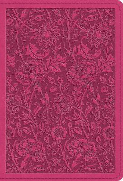 Picture of ESV Large Print Compact Trutone Berry