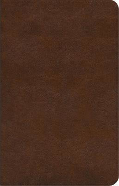 Picture of ESV Concise Study Brown Trutone