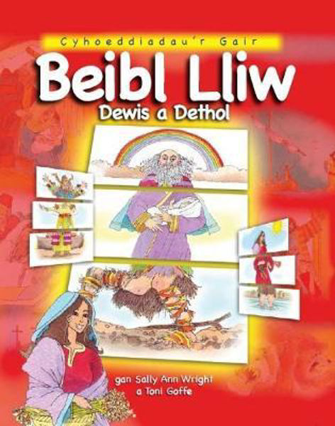 Picture of Beibl Lliw Dewis a Dethol