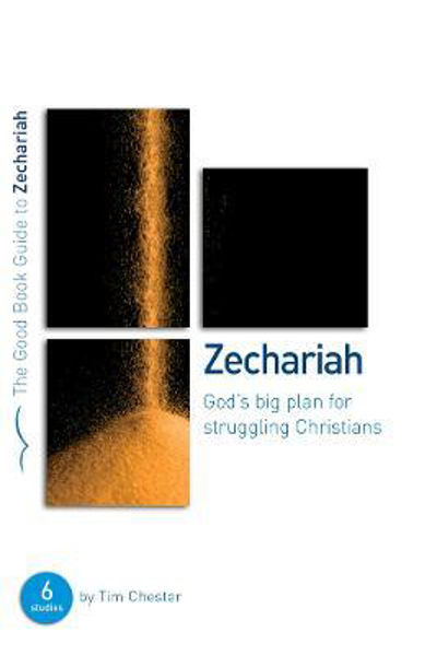Picture of Zechariah: God's Big Plan for struggling