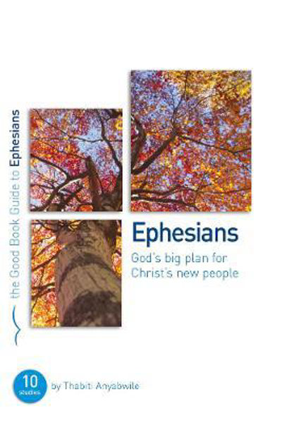 Picture of Ephesians: God's Big Plan for Christ's