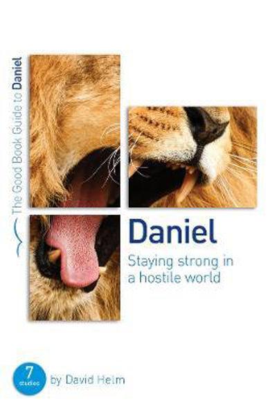 Picture of Daniel: Staying strong in a hostile world