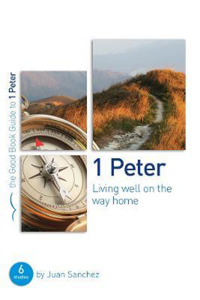 Picture of 1 Peter: Living well on the way home: Si