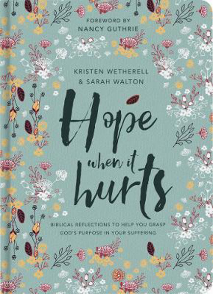Picture of Hope When It Hurts: Biblical reflections