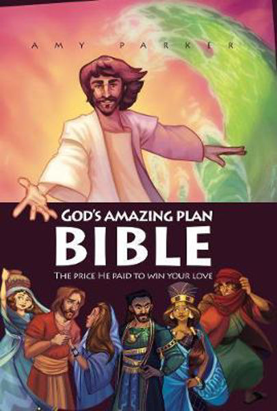 Picture of God's Amazing Plan Bible