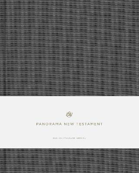 Picture of ESV Panorama New Testament