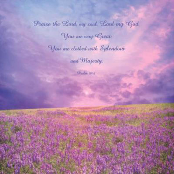 Picture of Lavender Field Plaque - Psalm 104:1