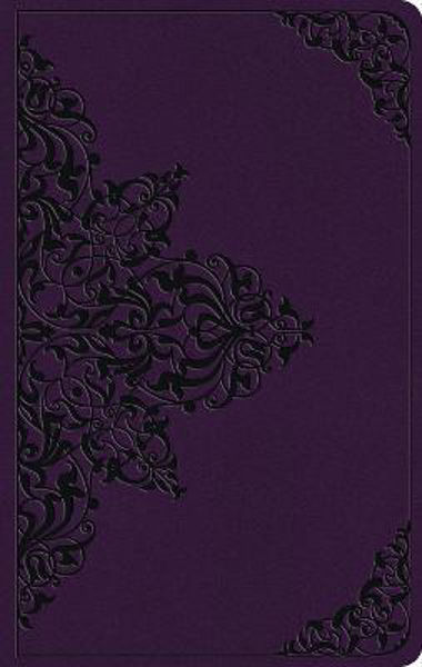 Picture of ESV Large Print Value Thinline Lavender